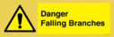 danger-falling-branches~